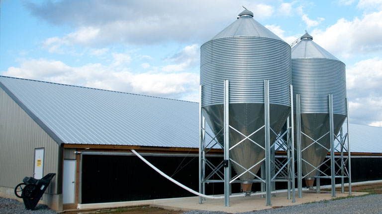 Cumberland hopper tank with feed delivery system